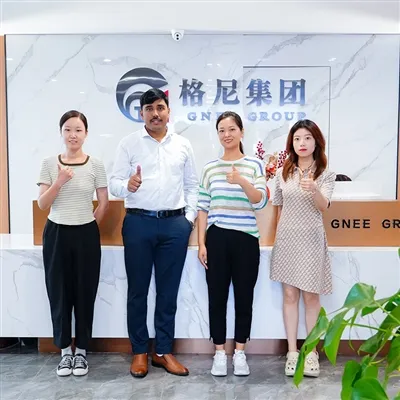 インドの顧客がDX51D+Z亜鉛メッキコイルを購入し、工場を訪問